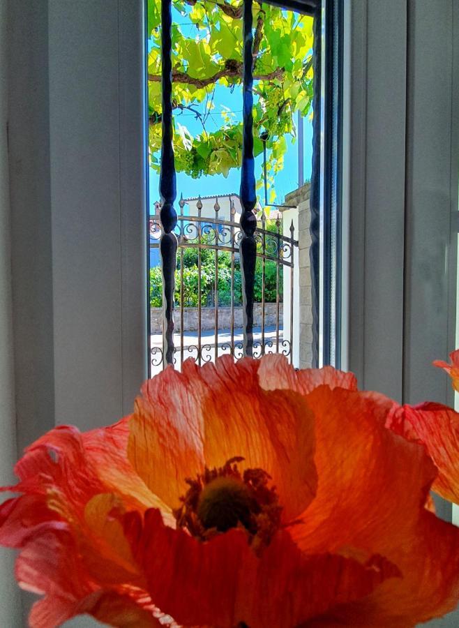 Casa Isabella B&B Koper Eksteriør billede